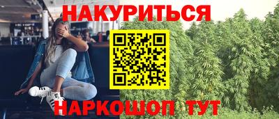 альфа пвп Гусев