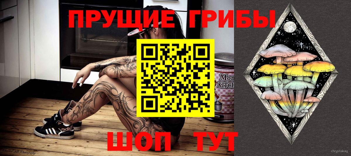 Кинешма  закладки  Псилоцибиновые грибы мицелий  Вход с VPN  Псилоцибиновые грибы Psilocybine cubensis 